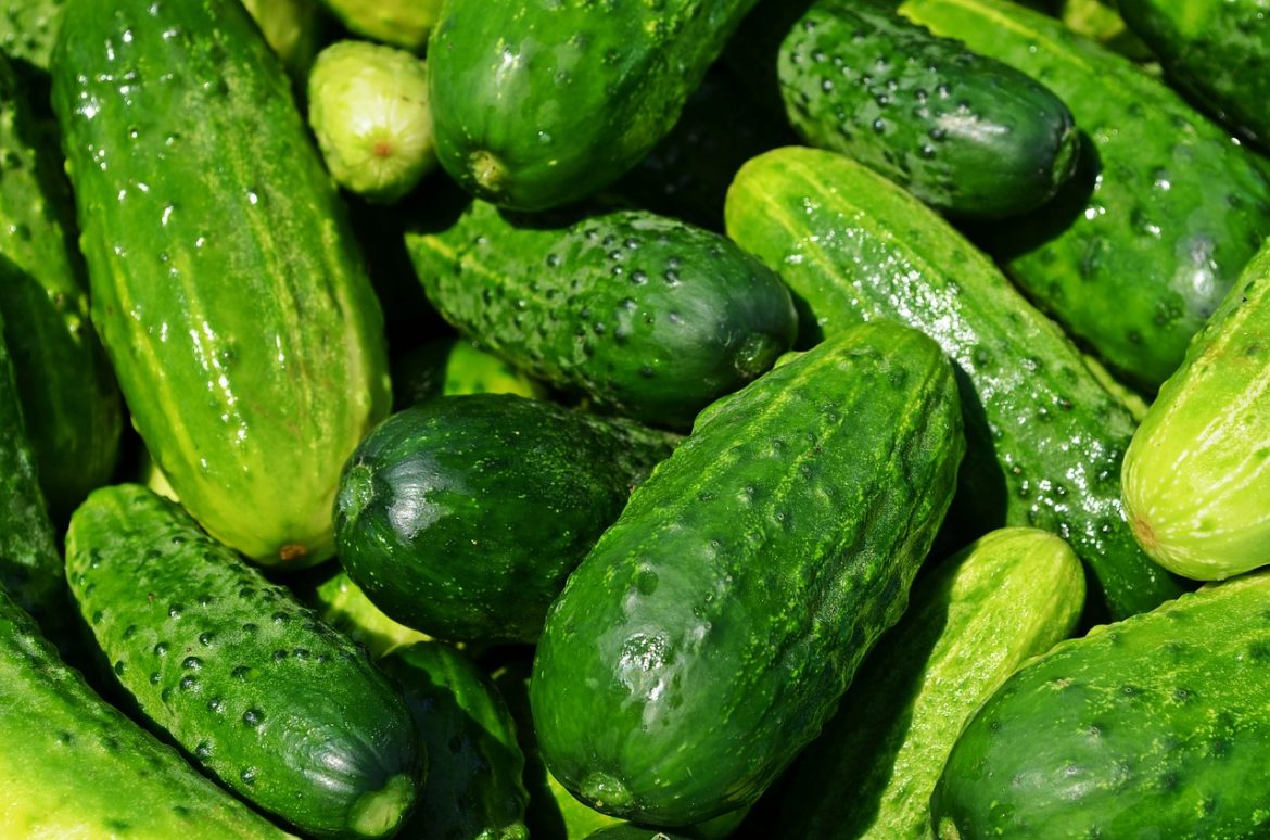 Russian Cucumbers